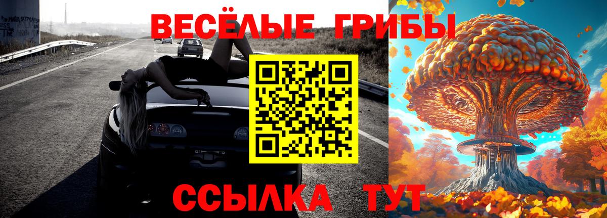 Сызрань  Псилоцибиновые грибы прущие грибы  Вход с VPN 